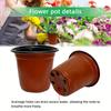 1set Soft Seedling Trays With Humidity Domes Dome Lids Drainage Holes Plastic Seed Starters For Seedlings Herbs Cacti Ferns