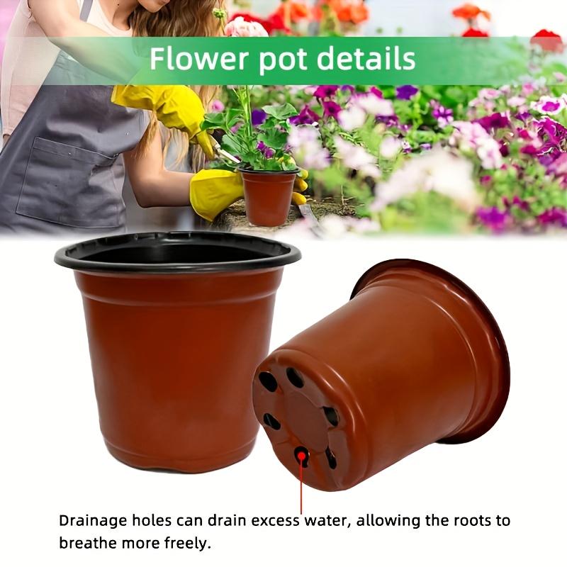 1set Soft Seedling Trays With Humidity Domes Dome Lids Drainage Holes Plastic Seed Starters For Seedlings Herbs Cacti Ferns