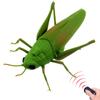 Tipmant RC Grasshopper Remote Control Animal Toy Simulation Electronic Insect Vehicle Kids Birthday Gift