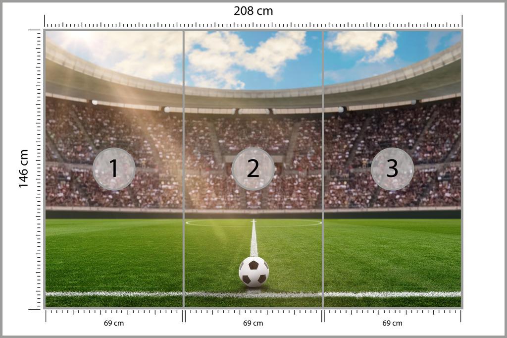 Photomural Soccer Stadium Smooth Vinyl 208x146