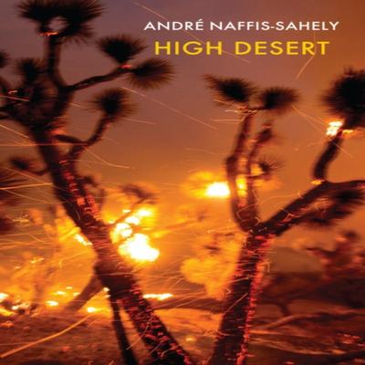 High Desert by Andre NaffisSahely Paperback Book 9781780376202