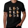 Fox Raccoon Opossum Skunk Woodland Friends 3 Tshirt Casual Pattern Print Tee Shirt