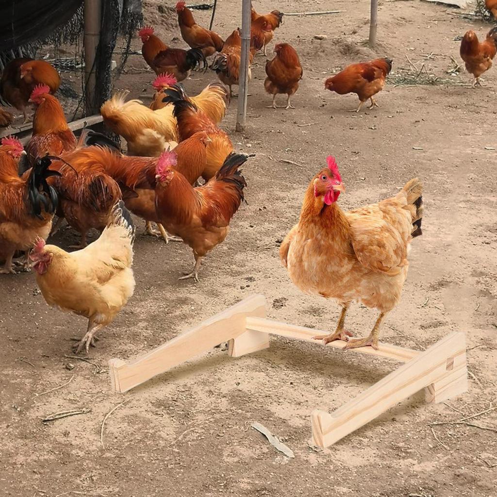 Hühnerstall Stange Geflügel Trainingsstange Holz Sitzstange Für Henne Küken Vögel Papagei Spielen Sitztraining Unterstützung Aufzuchtbox