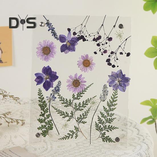Acrylic Photo Frame Clear Picture Frames Tabletop or Wall Mount Display Frame for Home And Office DIY Dried Flower Crafts