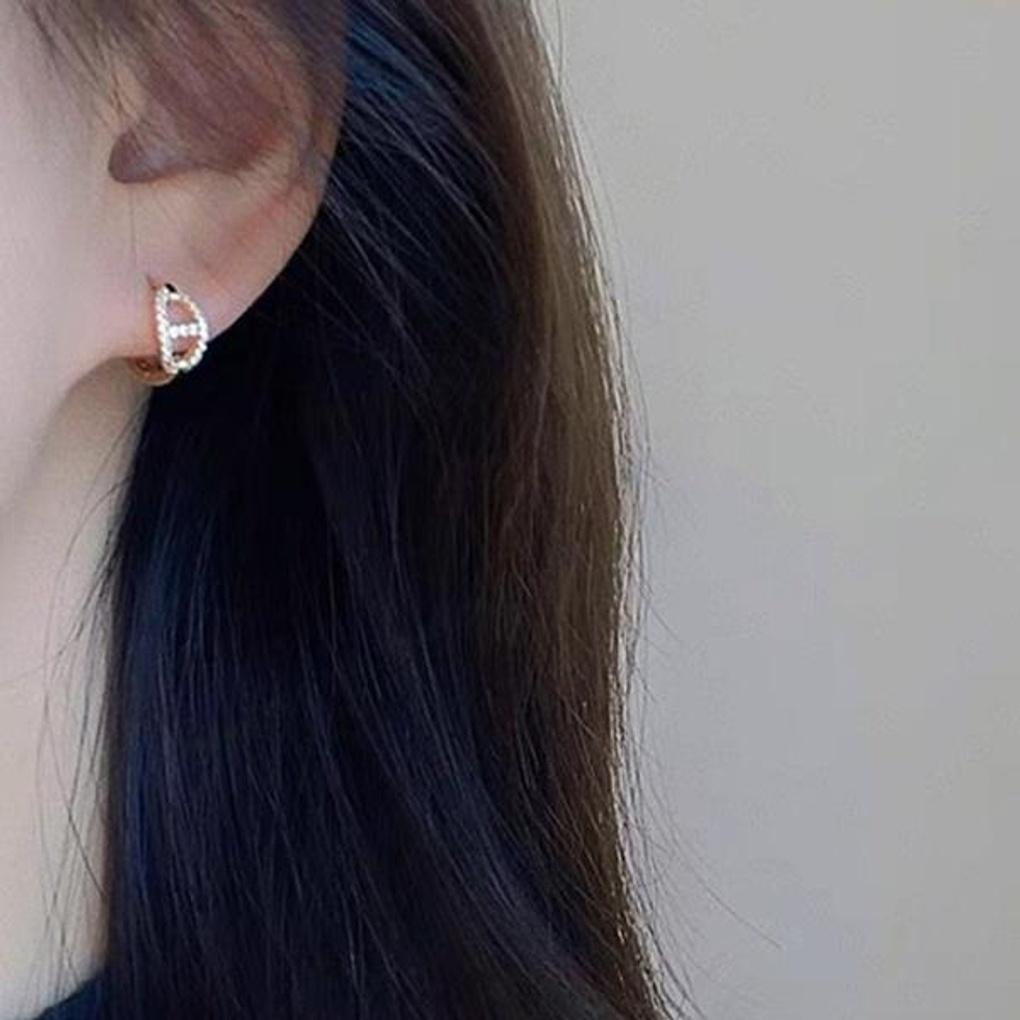 Women's Daily Pig Like Moment Hoop Earrings