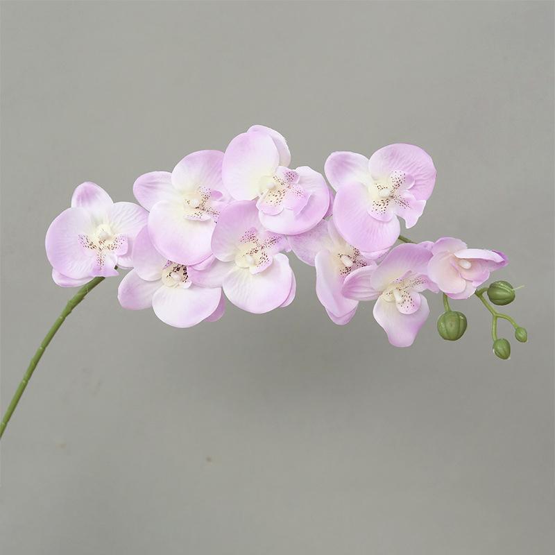 69Cm 3D New Artificial Phalaenopsis Flower Branches Real Touch Faux Butterfly Orchid Stems Floral Arrangement Wedding Home Decor