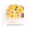 Realistic Pufferfish Model Ocean Sea Life Marine Animal Aquarium Ornament Cognitive Action Figure Educational Toy for Kids
