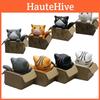 Pvc Box Cat Models In Multiple Colors Perfect For Cat Lovers