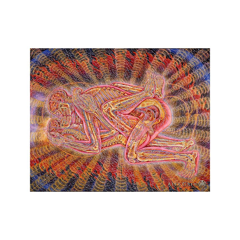 

Алекс Грей психоделический постер и картина на холсте напечатанная картина на холсте настенная живопись гостиная домашний декор Cuadros 21*30cm No Frame