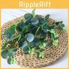 Artificial Globulus Eucalyptus Green Plant For Photography Props And Decor Home
