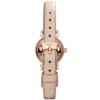 Emporio Armani AR1687 Classic Ladies Watch