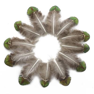 Natural Peacock Hair, Peacock Back Hair, Peacock Gold Pieces, Feather Diy Material Peacock Hair