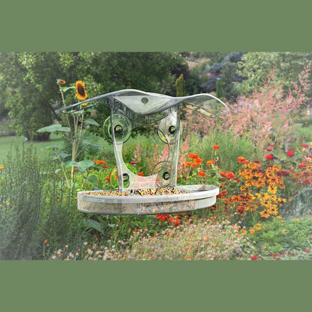 Transparent Wild Bird Feeders Strong Suction Cup Bird Food Container  Bird Watching