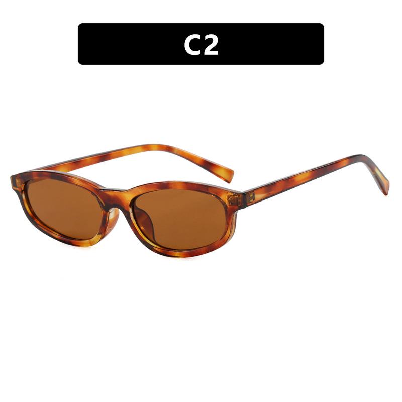 New Retro Square Cat Eye Sunglasses For Women  Trendy Small Narrow Sunnies Unisex Women Glasses