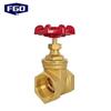 FGO Heavy-Duty Brass Gate Valve