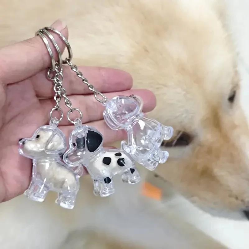Dog Hair Storage Box Keyring Puppy Hair Memorial Keepsake Capsule Pet's Dog Fur Container Transparent Capsule Keychain Souvenirs