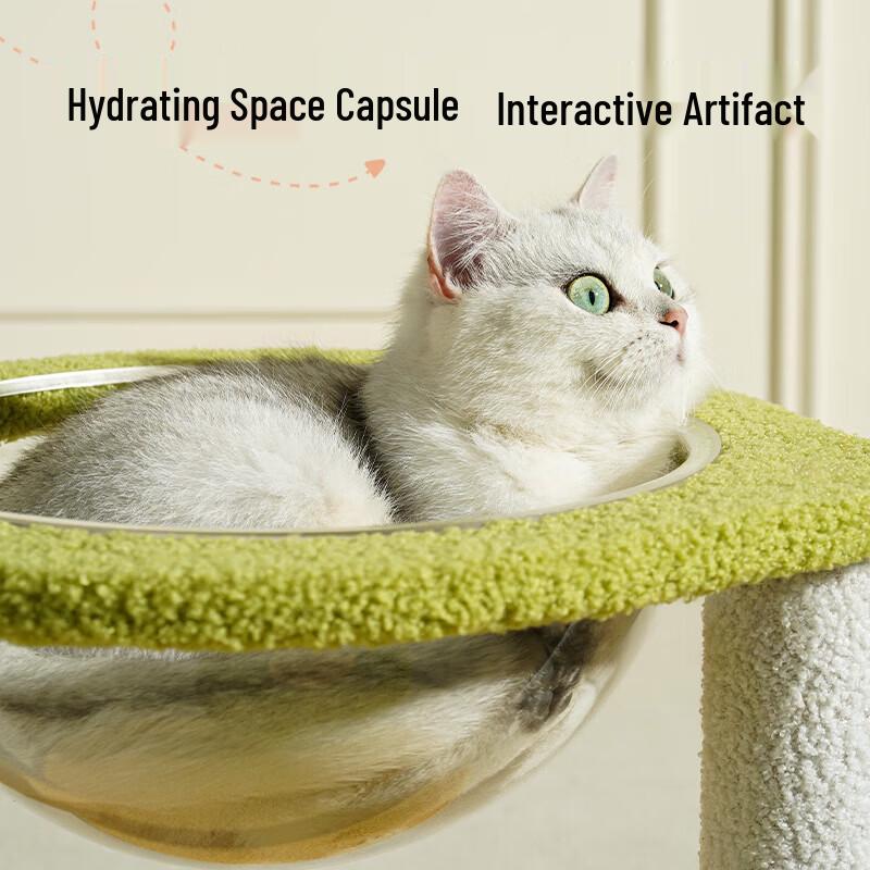 Fandou Pumpkin Cat Climbing Frame with Space Capsule Bed