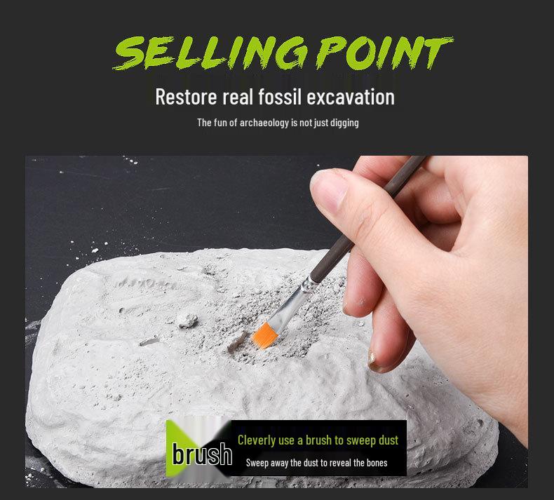 DIY Dinosaur Fossil Excavation Toy: Tyrannosaurus & Triceratops Skeleton Models for Kids