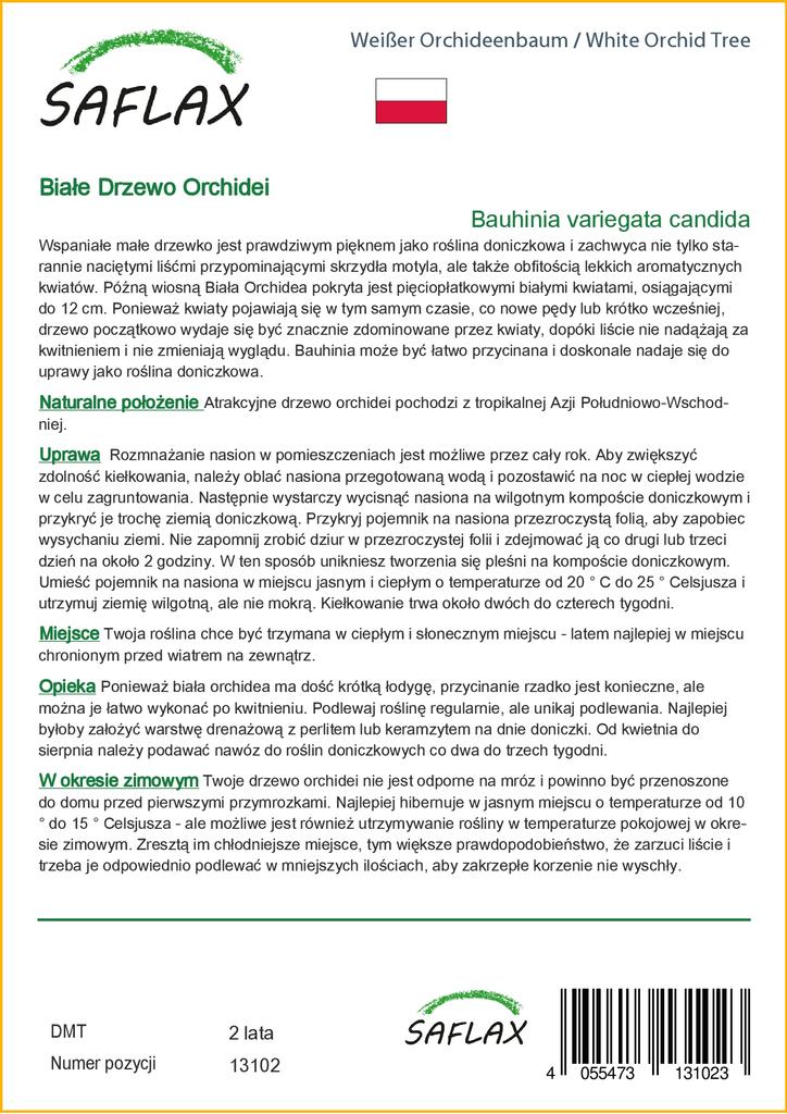 SAFLAX Arborele de orhidee albă - 5 semințe - Bauhinia variegata candida