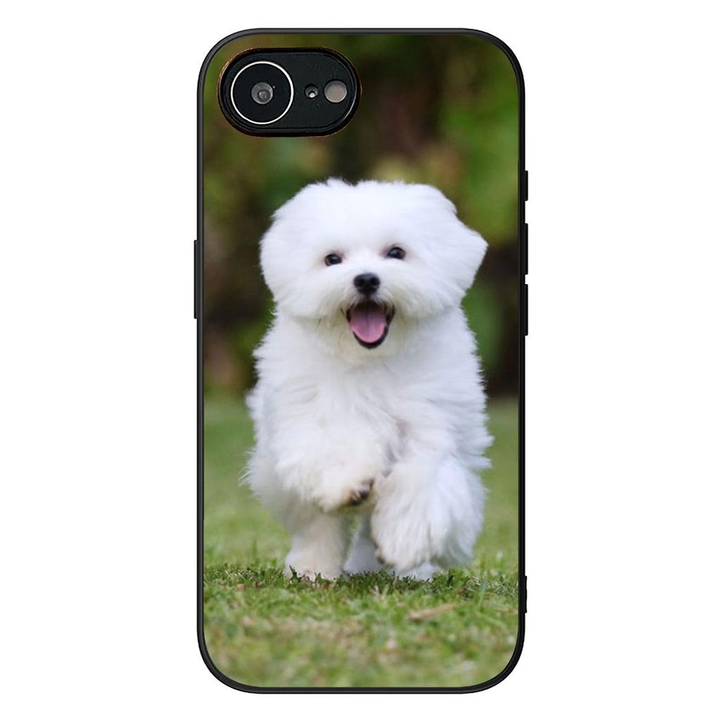 Bichon Frise Pomeranian Dog Phone Case for Samsung Galaxy A06 A05 A14 A50 A51 A52 A12 A13 A23 A70 A07 A25 A26 A72 A56 Cover