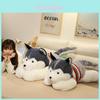 Husky Kuscheltier Plüschtier Kissen mit PP-Baumwollfüllung für Heimdekoration Geschenk