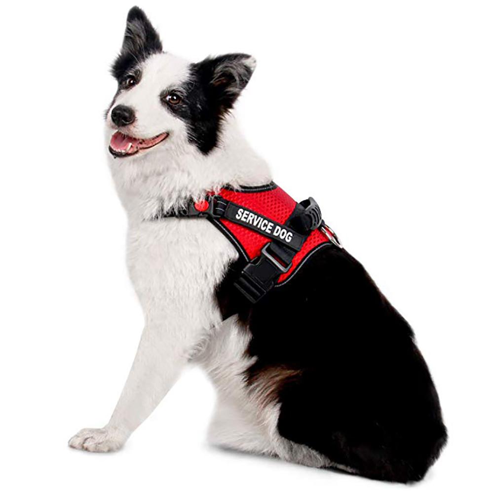Red Service Dog Pet Harness for Outdoor Walking