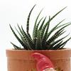 Innovative Resin Dwarf Flower Pot Ornament Patio Garden Elf Succulent Pot Planter Decoration