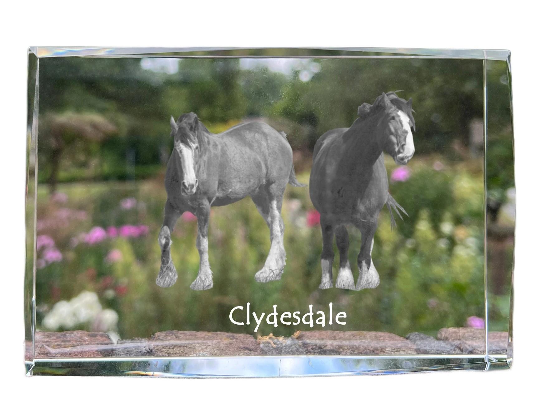 

Clydesdale - crystal with a picture of a horse, photo in glass, modern exhibition of Art-Dog brand photo прозорий