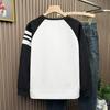 Crew Neck Pullover Long-sleeved T-shirt Sweater Texture Bottoming Shirt Hong Kong Style Light Luxury 2026 Men's New Waffle
