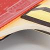 DHS Hurricane 4-Star Table Tennis Racket