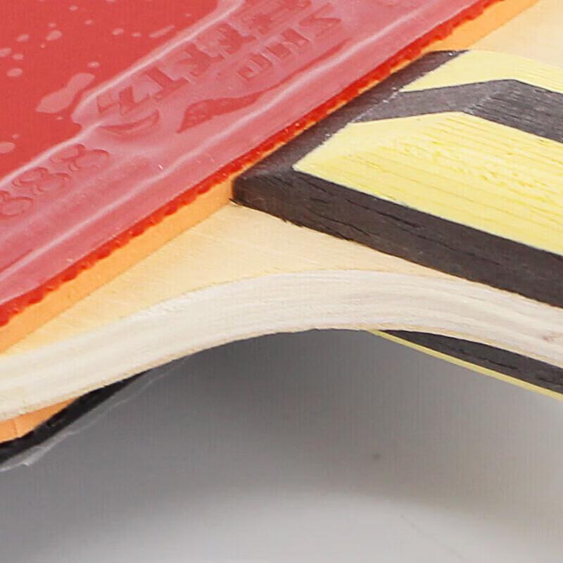 DHS Hurricane 4-Star Table Tennis Racket