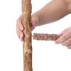Bird Perch Set Natural Wood Stand Parakeet Toys Multi Branch Bird Cage Accessory