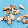 Phoenix Shell Vase: Natural Mini Conch Wishing Bottle for Aquarium Decor