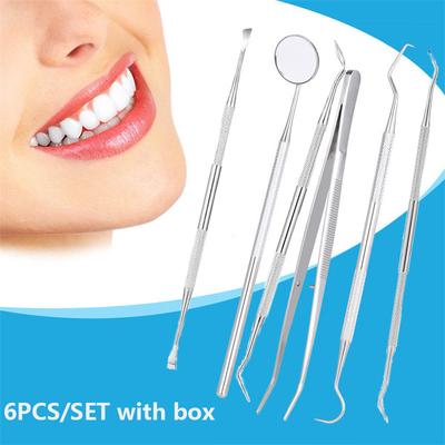 6PCS/SET Stainless Steel Material Dental Cleaning Tool Set Oral Dental Instruments Includes Tweezers, Probes, Scalers, Stain Removers, Etc.