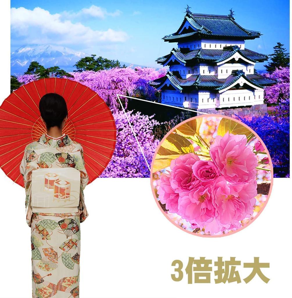 Lightweight, compact, vibration-proof binoculars for concerts, opera, and stage performances. Includes a strap, storage bag, and metal chain. Center