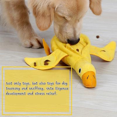 dog training toys