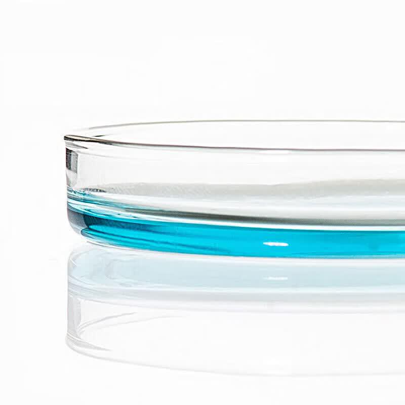 Borosilicate Glass Petri Dish