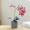Elegant 8-Flower Phalaenopsis Orchid Bonsai - Lifelike Artificial Potted Plant for Home Decor, Includes Pot