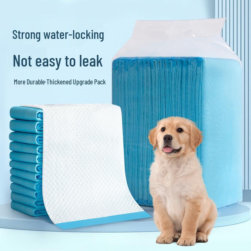 Large Absorbent Dog Pee Pads - Pet Diapers & Urine Barrier Supplies
