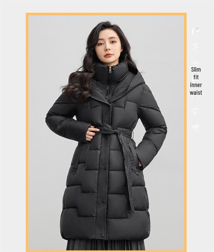 Women's Light Luxury Hooded Down Cotton Coat - Winter, Long, Loose, Large Size, Korean Style, Thick