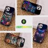 Cute C-Colorful Owl B-Bird Phone Case  For iPhone 16,15,14,13,12,11,Pro,Max,Plus,Mini, Magsafe,Magnetic Wireless Charging Case