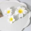 1 Stück Plumeria Blume Haarspangen für Damen Mädchen Haarnadeln Ei Blume Spange Hawaiianische Hochzeitsfeier Tasche Hut Zubehör