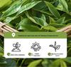 Herbal Sea Buckthorn & Green Tea Facial Soap - Handmade, Ancient Fragrance Cleanser for Men and Women