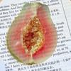 10Pcs Cartoon Fruit Acrylic Bookmarks Creative Book Page Markers Light Weight Reading Aid For Children School Office Use