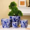 Squisito Fioriera in Ceramica con Pappagallo Blu e Bianco: Extra Large, Stile Cinese con Fori di Drenaggio