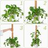 Moss Stick Plant Pole Monstera 30cm for Climbing Plants Coir Totem Plant Support for Indoor Potted Plants Train Creeper Plants Grow Upwards
