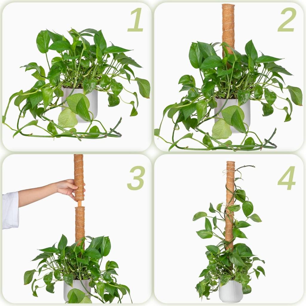 Moss Stick Plant Pole Monstera 30cm for Climbing Plants Coir Totem Plant Support for Indoor Potted Plants Train Creeper Plants Grow Upwards
