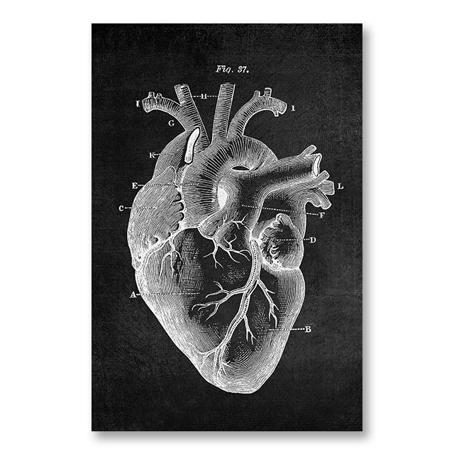 Human Anatomy Canvas Painting Skeletal Heart Picture Decoration Poster Gift BedRoom Wall Art Prints Modern Home Decor Aesthetic