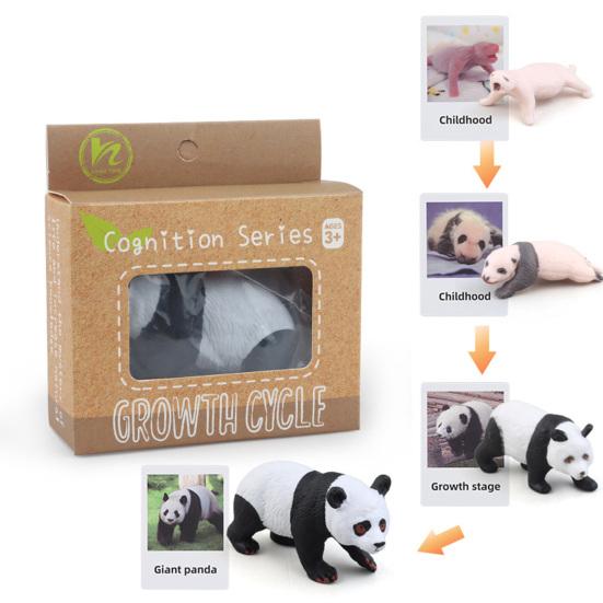 1 Box Biology Discovery Toy Realistic Frog Bee Panda Chick Butterfly Fish Plant Animal Life Cycle Learning Creative Toddler