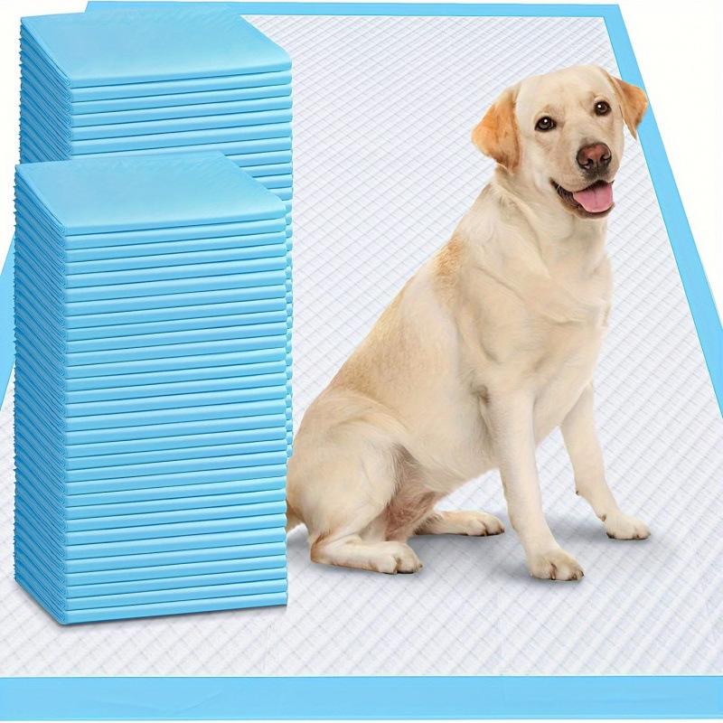 2025 Absorbent Dog Mat for Dropshipping
